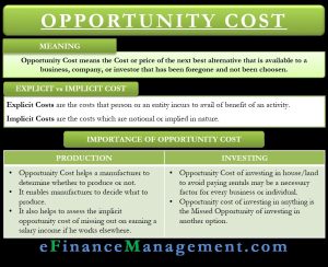 Understanding The Vital Importance Of Opportunity Cost